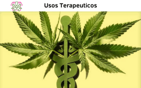Cannabis - Usos medicinales y terapéuticos.