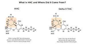 Que es HHC y porque es tan popular?