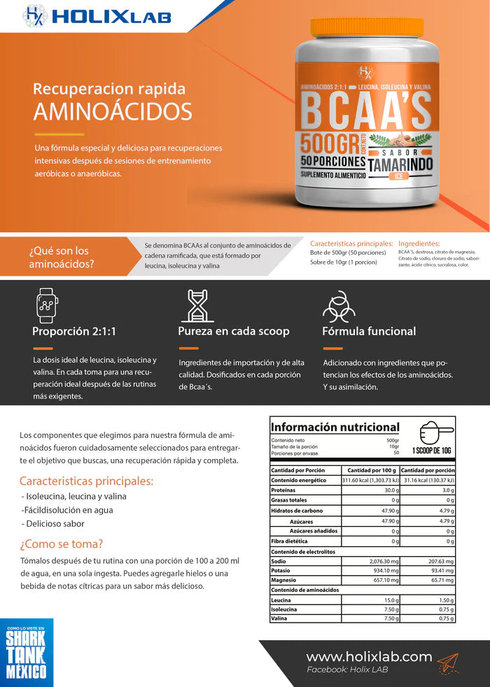 BCAA Aminoacidos Holix 500gr