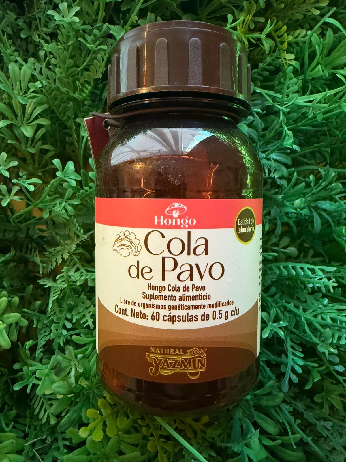 Capsulas Cola de Pavo Natural Yazmin 500mg