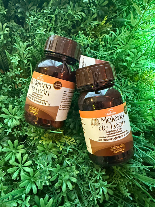 Capsulas Melena de Leon Natural Yazmin 500mg