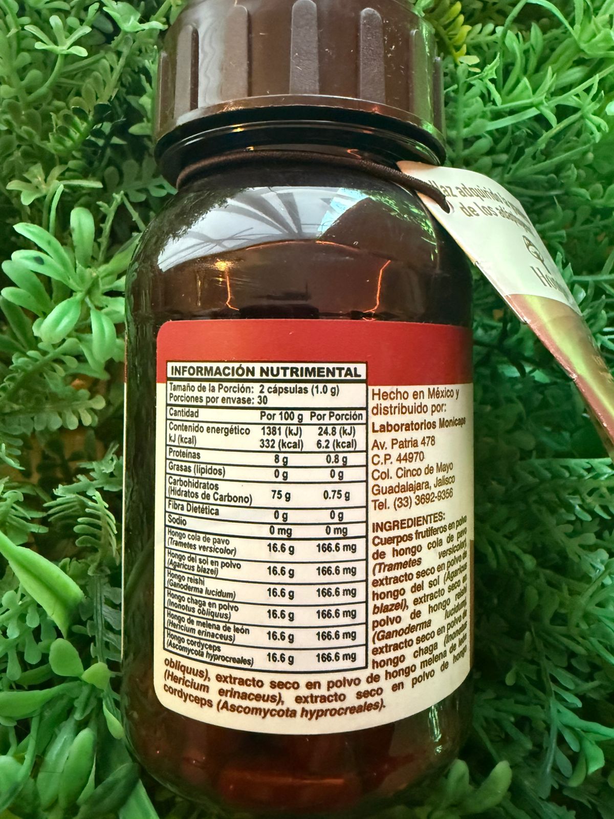 Capsulas Mix de hongos Natural Yazmin 500mg