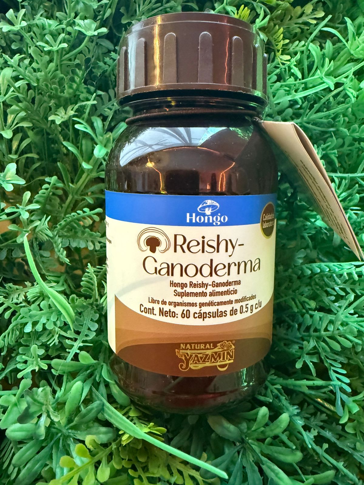 Capsulas Reishy-Ganoderma Natural Yasmin 500mg