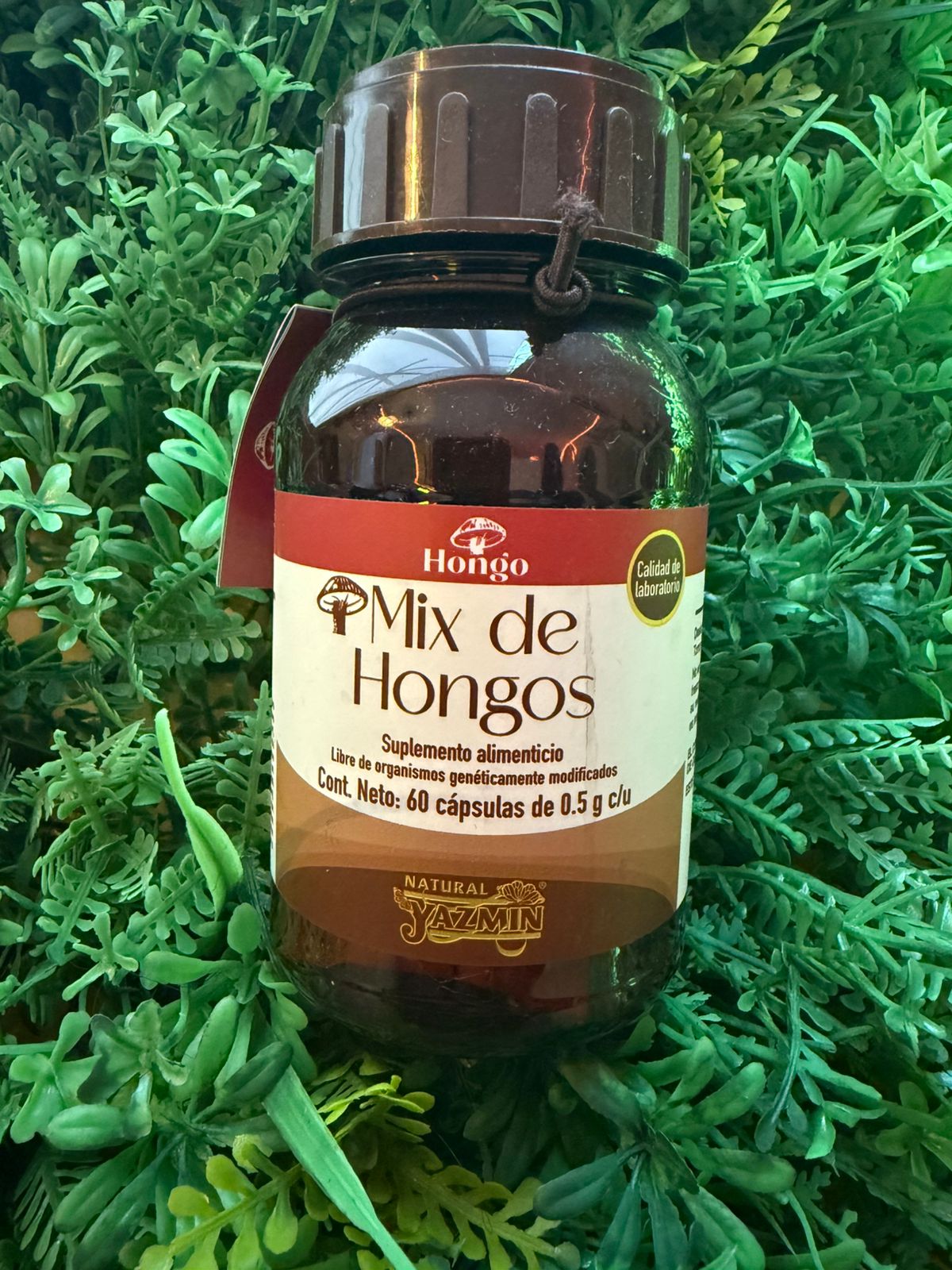 Capsulas Mix de hongos Natural Yazmin 500mg