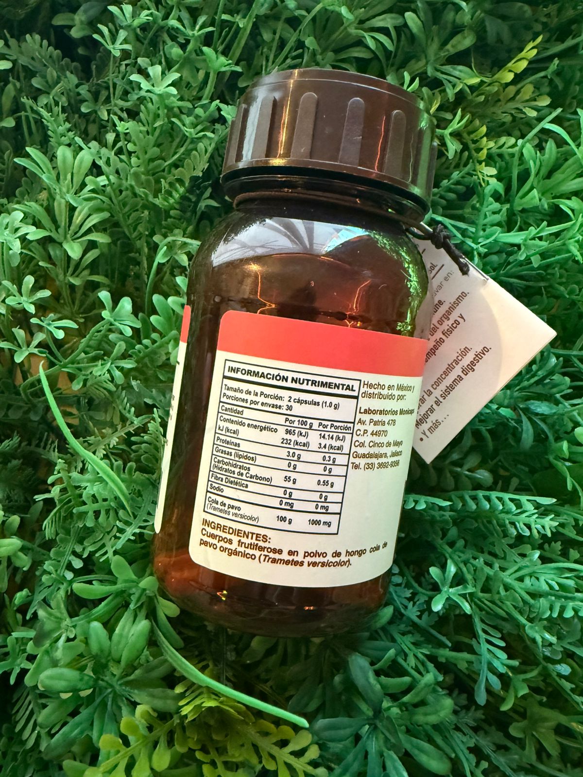 Capsulas Cola de Pavo Natural Yazmin 500mg