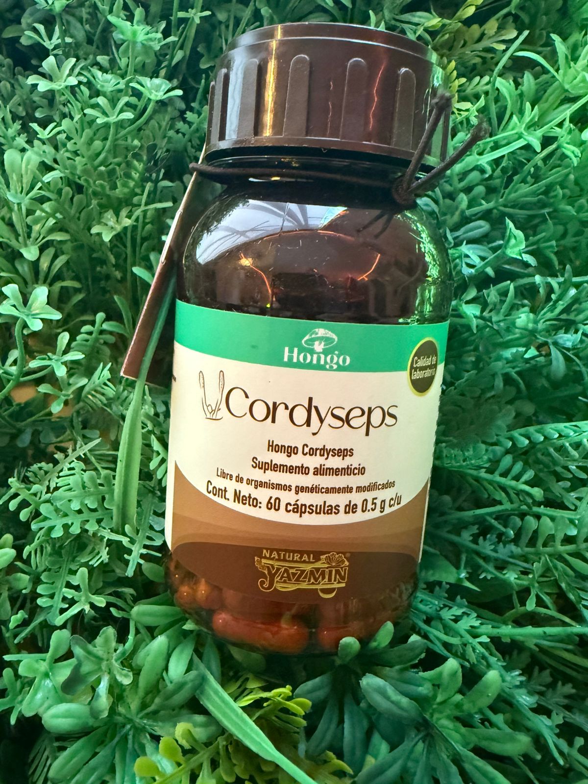 Capsulas Cordyceps Natural Yazmin 500mg