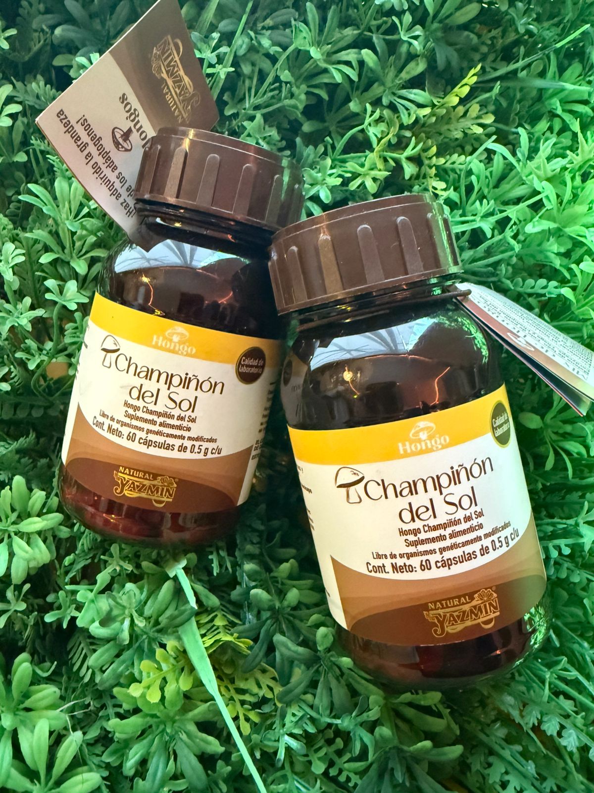 Capsulas Champiñon del Sol Natural Yazmin 500mg